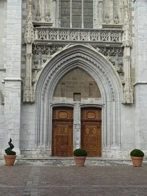 Cathédrale Saint-François de Sales à Chambéry
